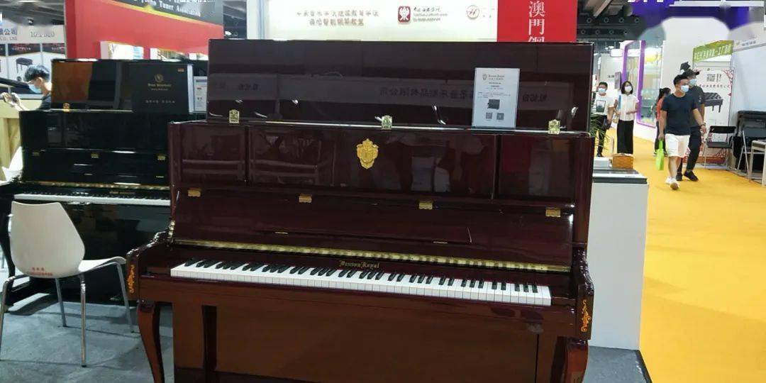 德国撒森霍夫钢琴布谷鸟数码钢琴齐格勒全景照片佩卓夫.