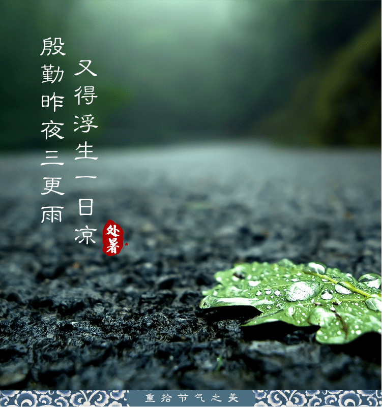 夏末秋初,蝉鸣草衰,空中时常有白色的小鸟飞过,荷塘中红色的荷花散发
