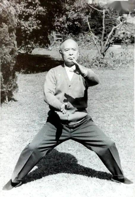 顾留馨:我患足疾与太极拳震脚发劲无关