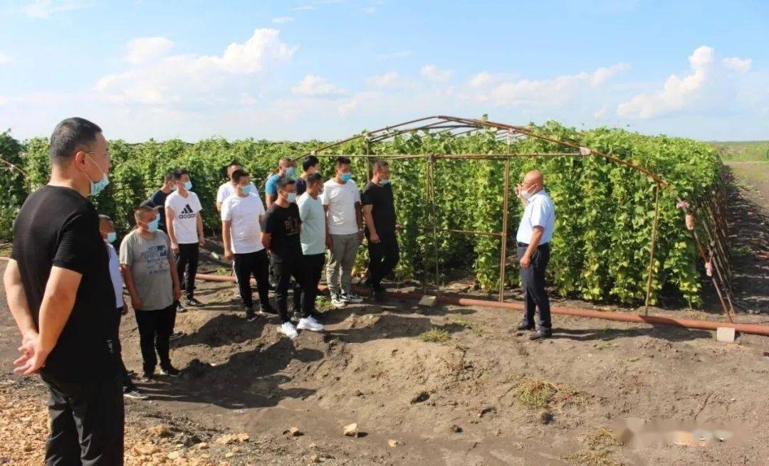宝山农场有限公司开展农业拉练晒亮点提标准促发展