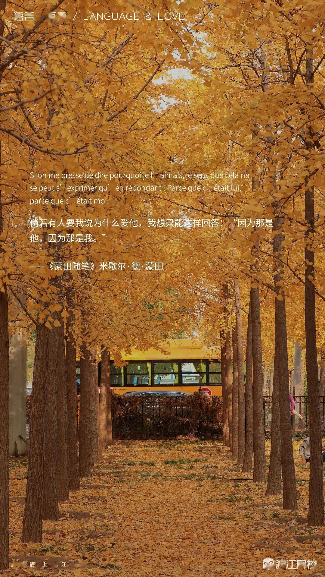 法国电影我爱你经典镜头混剪中法字幕