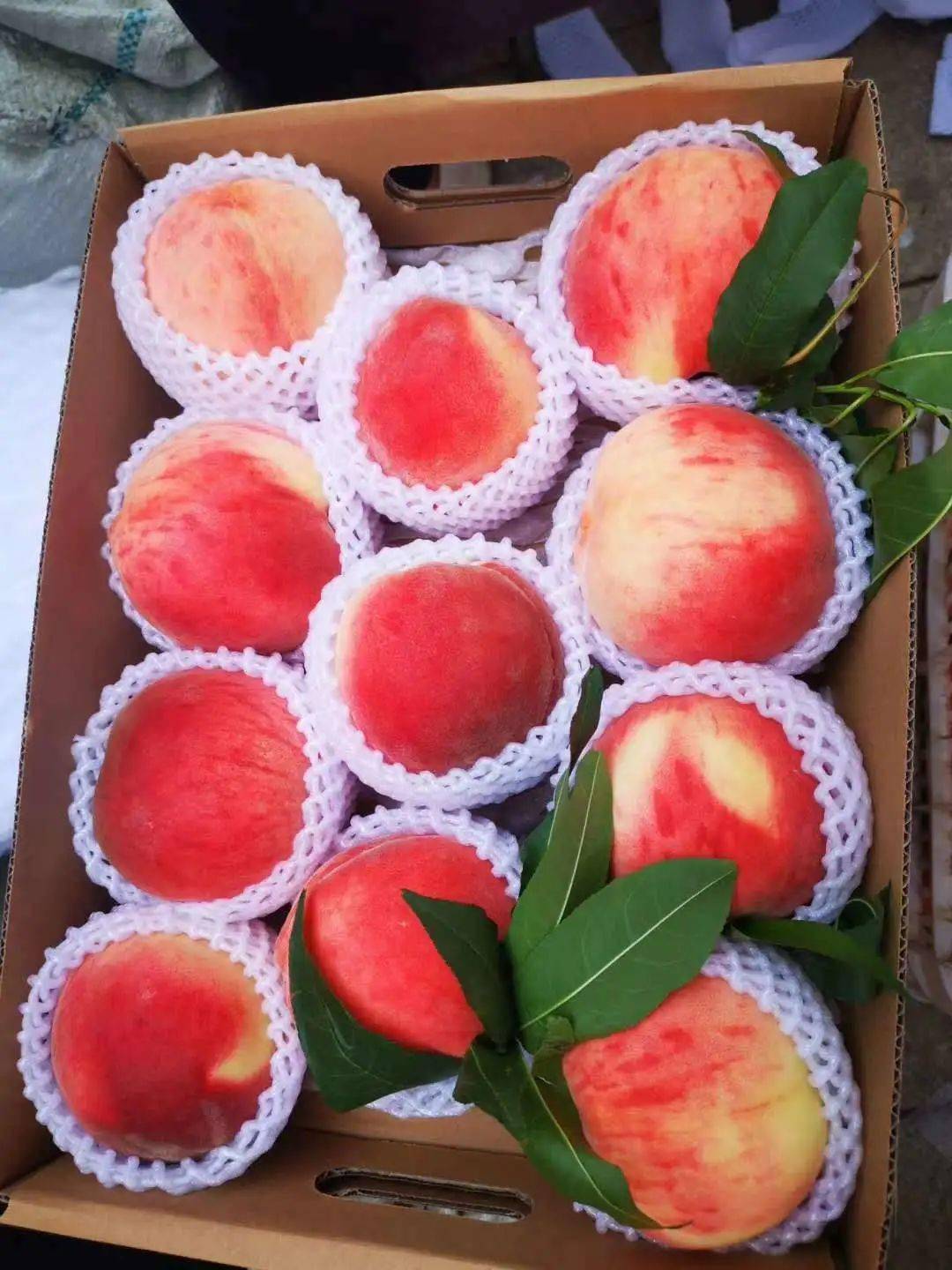 平谷大桃一箱
