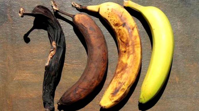 香蕉好吃但是容易腐烂还好水果店老板教我一招放一个月都新鲜