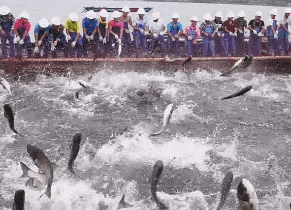 573_413gif 动态图 动图