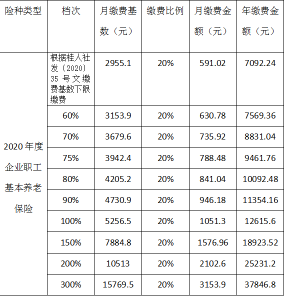 2020年社保缴费明细表图片