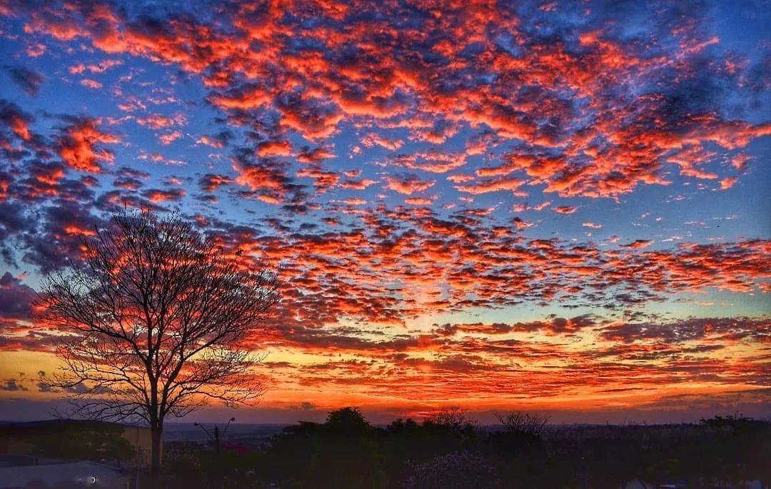 日斜归路晚霞明