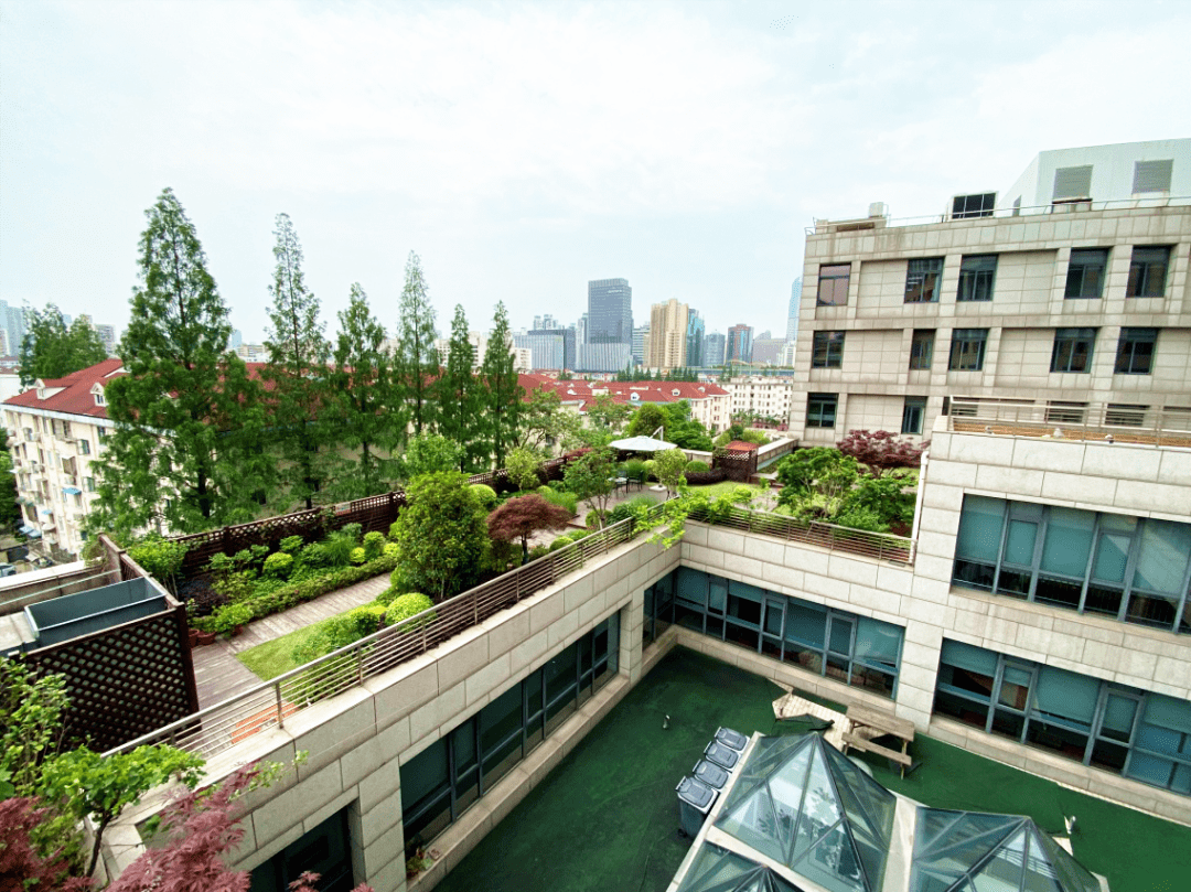 苏州河(长宁段)沿线竟有这么多"空中花园"_绿化