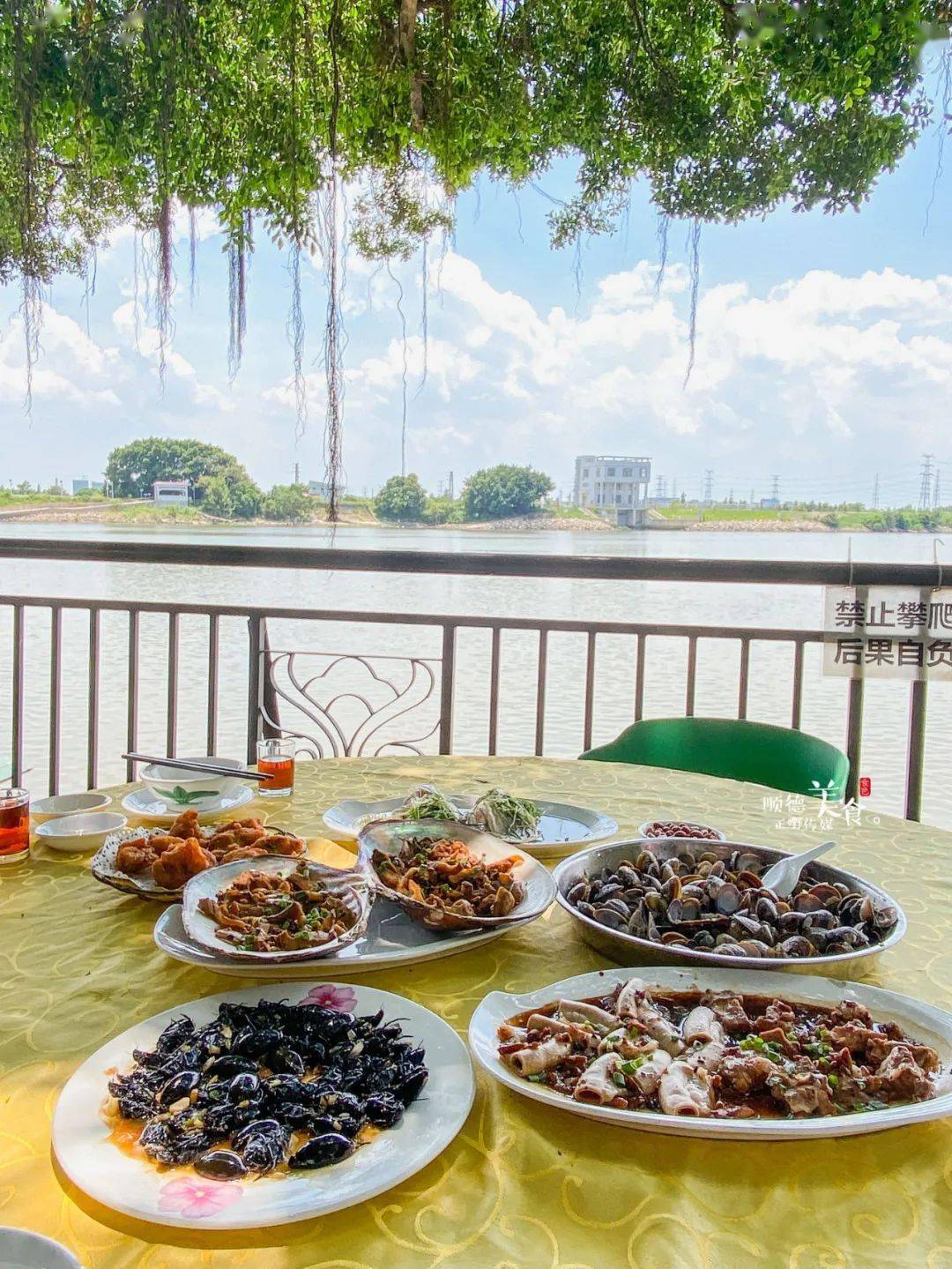 置身古榕树下面朝180江河美景这间在渡头上的残旧饭店占尽天时地利