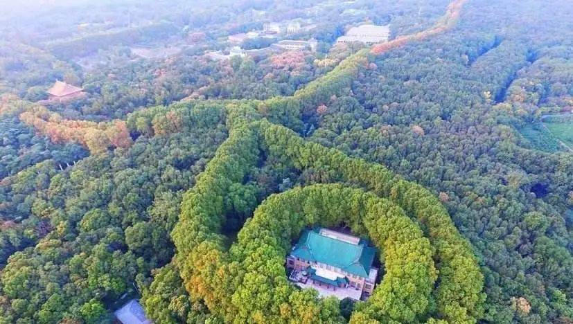 虎踞龙盘钟山因山顶常有紫云萦绕 又得名紫金山钟山