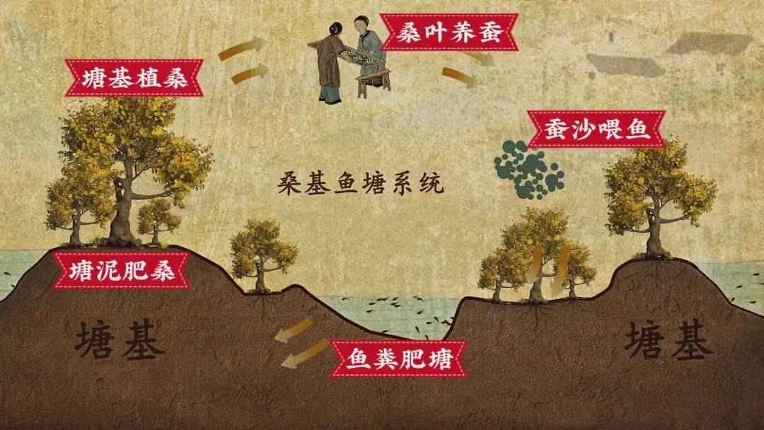 保存最为完整的桑基鱼塘