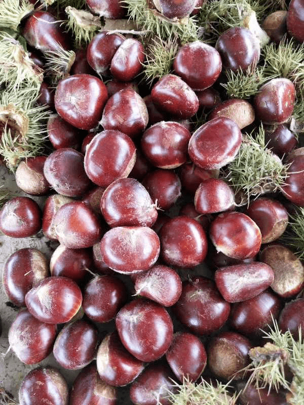 一位坚强活着的河源人卖板栗期待随缘支持