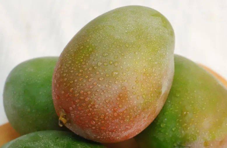 大到单手抓不住的凯特芒果皮薄肉厚一口甜到你心坎