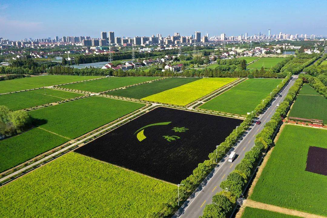 圖丨莊行農藝公園圖丨海灣大學城圖丨五四小木屋圖丨英科企業總部一