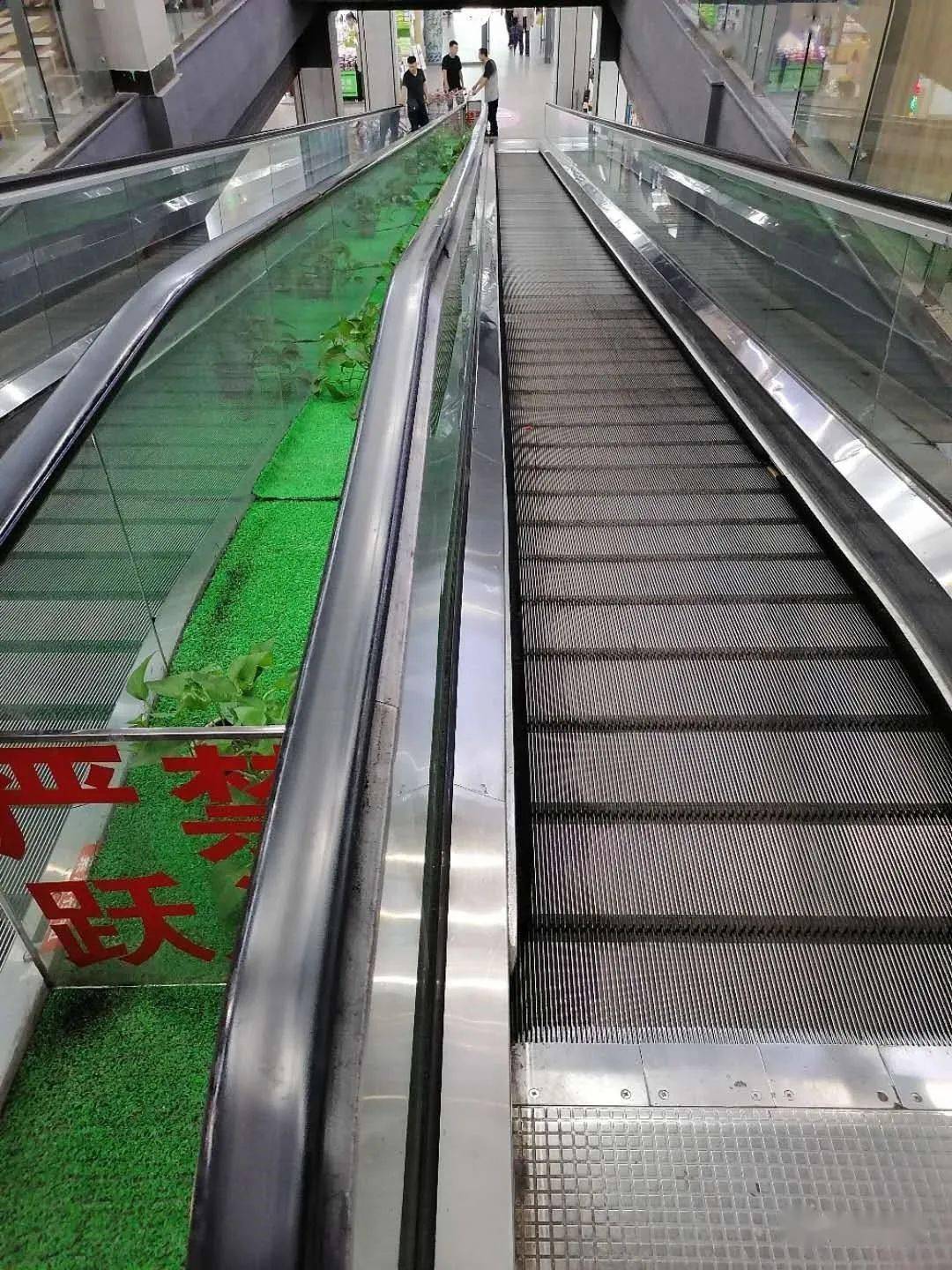 这防水台霸气电梯人看后哭了