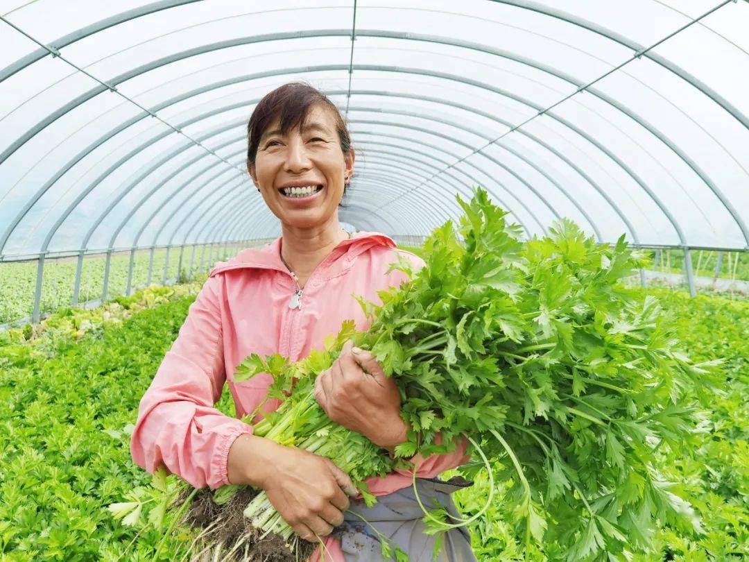 人物故事李益存蔬菜大棚里种出致富路