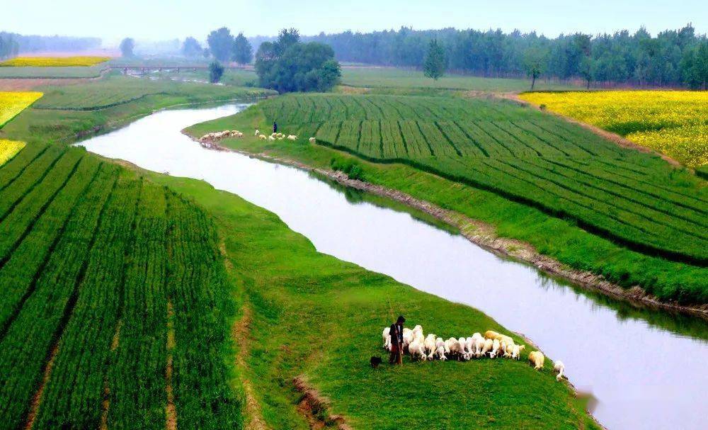 这样的温县能否瞬间勾起你的回忆