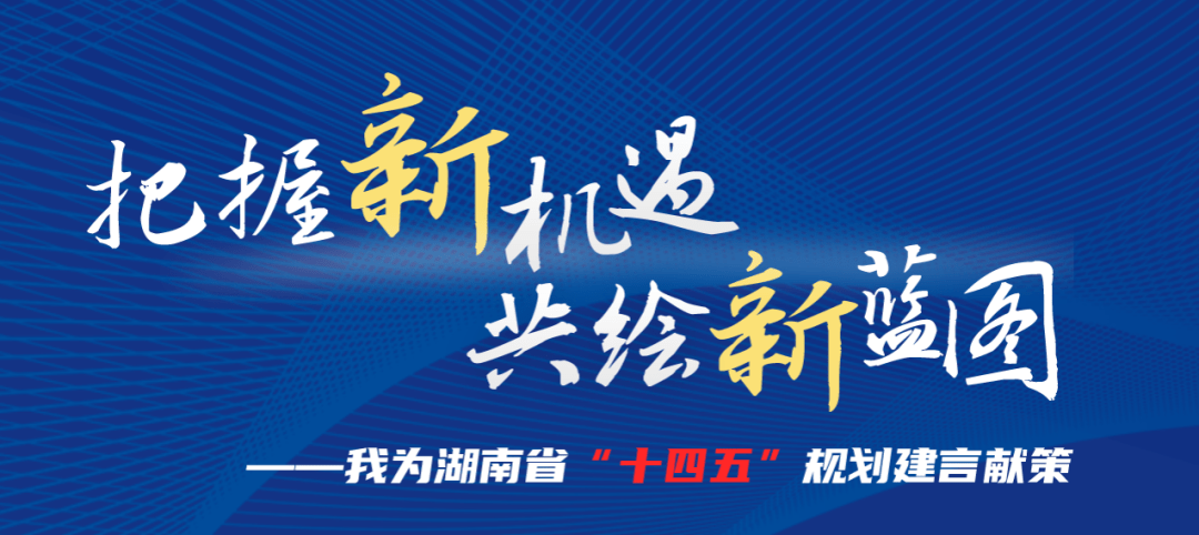 把握新机遇共绘新蓝图我为湖南省十四五规划建言献策