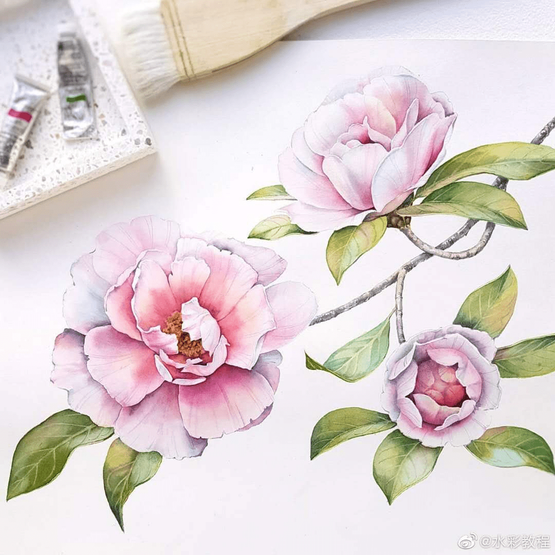 水彩花卉作品欣赏by ins: akvarell_design