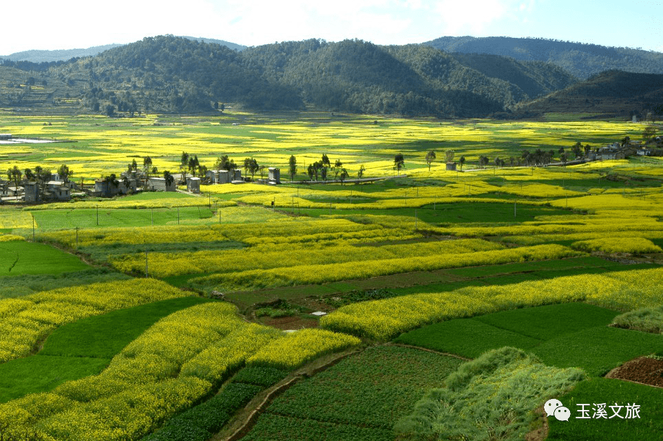 元江县因远镇因远村