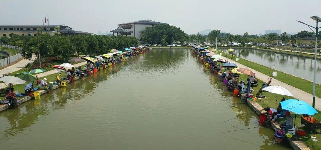 限量用饵规范垂钓新发展试推新规促进赛事可持续广东佳良杯和鼎齐生杯