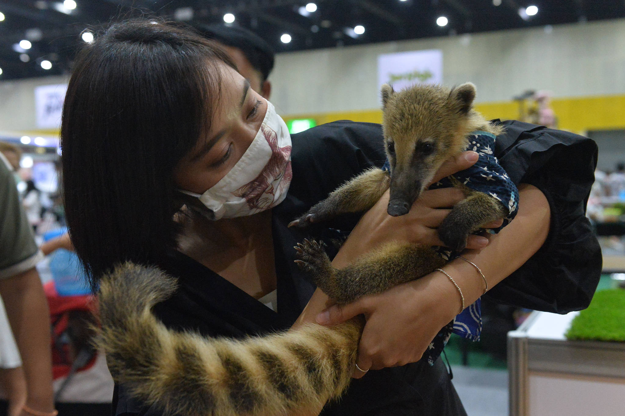 曼谷举办宠物展