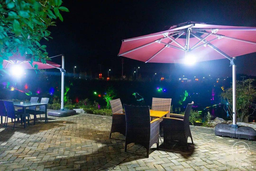 承接草坪婚礼观秀茶吧惬意品茗 赏水幕电影欣赏灯光秀,小型演艺表演