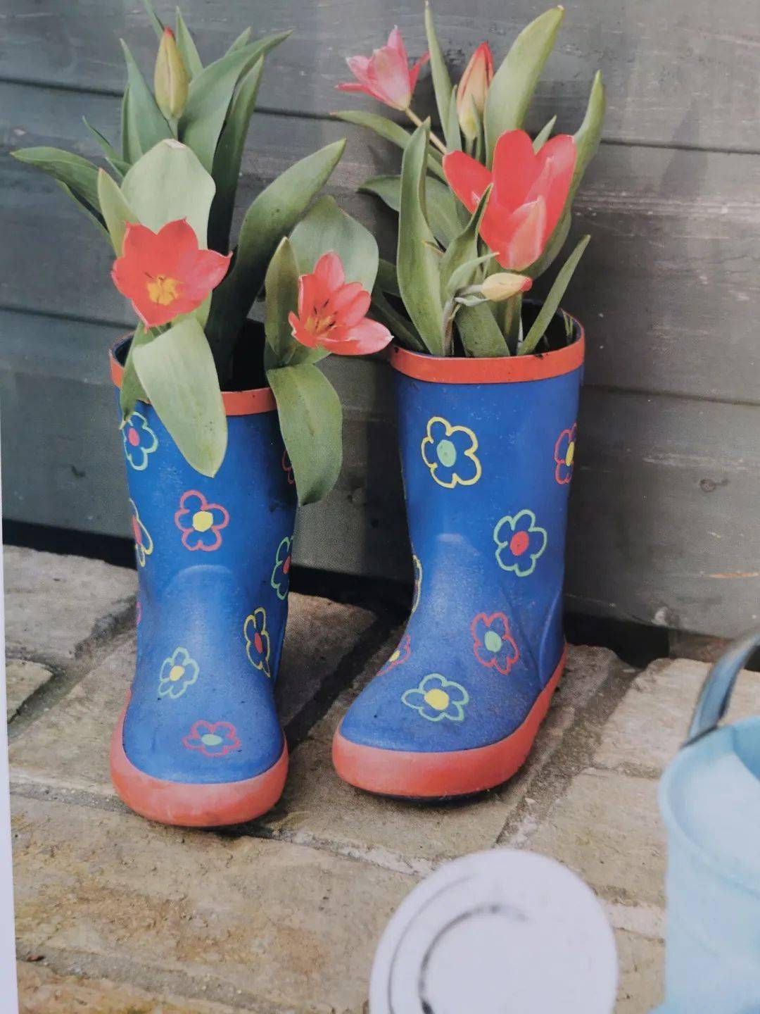 玩趣自然|和我一起做个好看的球根花卉雨鞋吧!