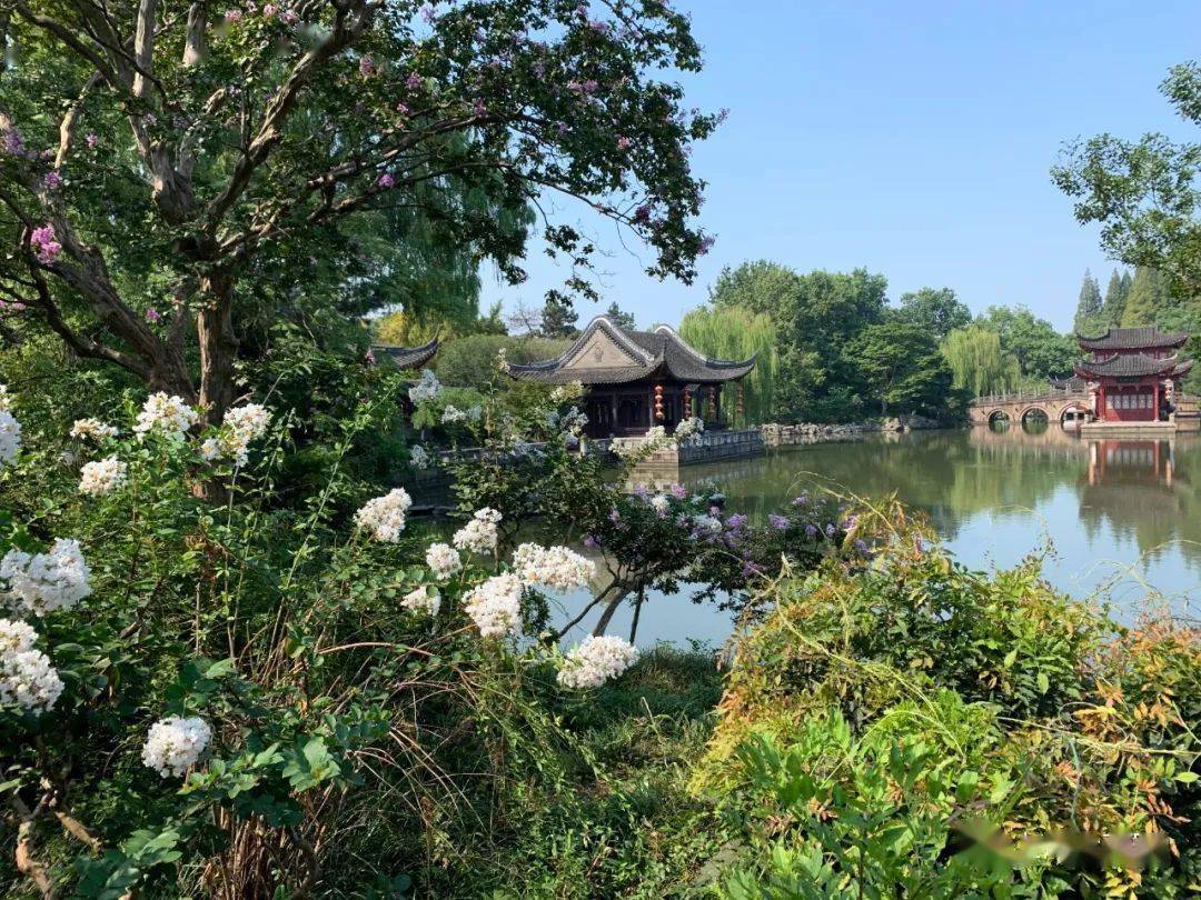 秋赏晓秋迎露一支新不占园中最上春