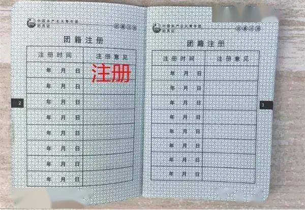 要求全部填写,照片和页面上需同时加盖学校团委钢印;(2)团籍注册页面