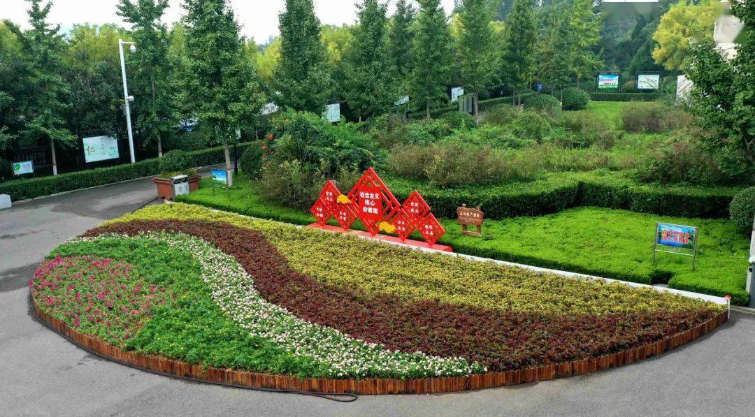 关注景观花箱扮靓城市道路颜值
