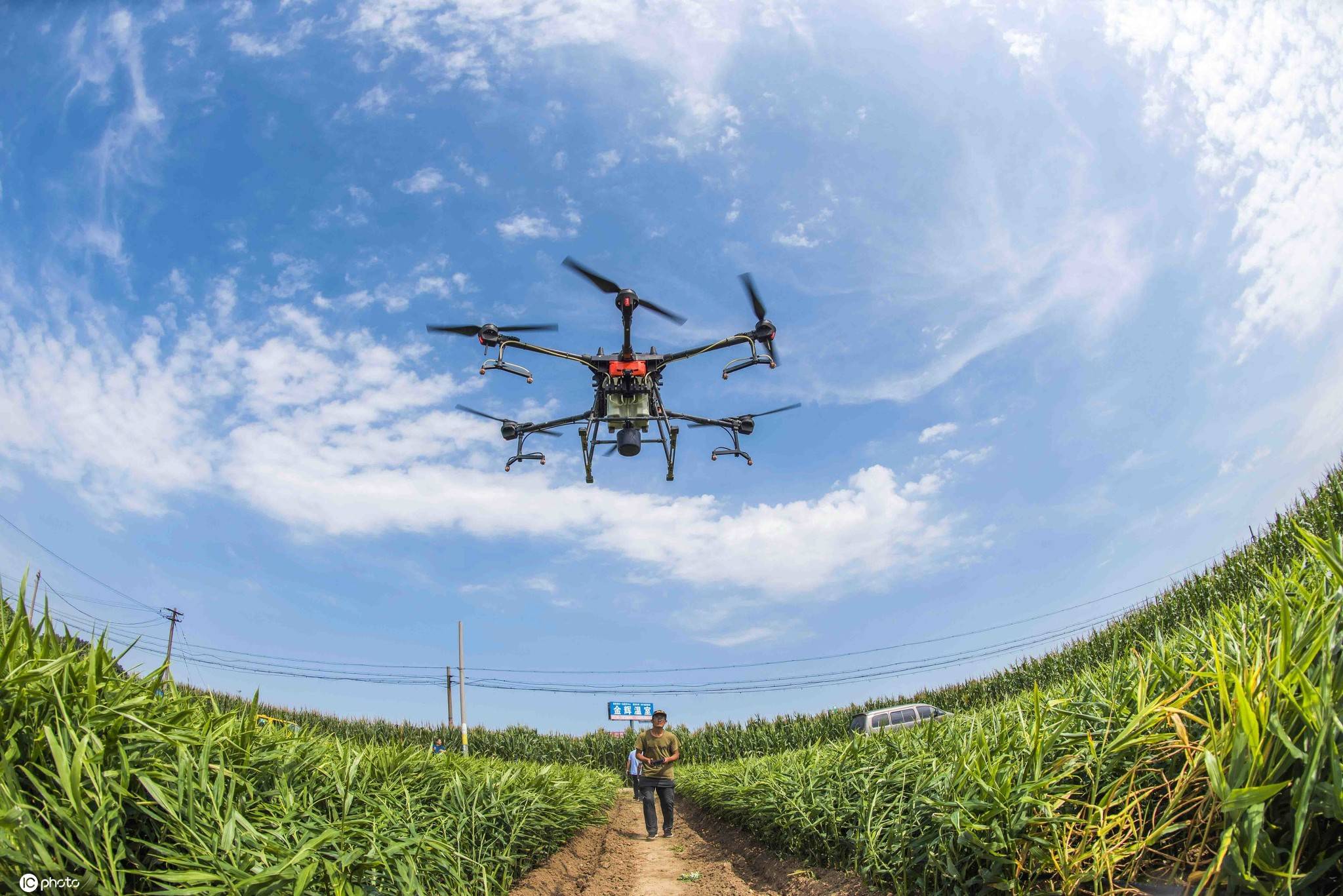 山东省青州市农机部门联合专业合作社,利用植保无人机帮助农民进行大