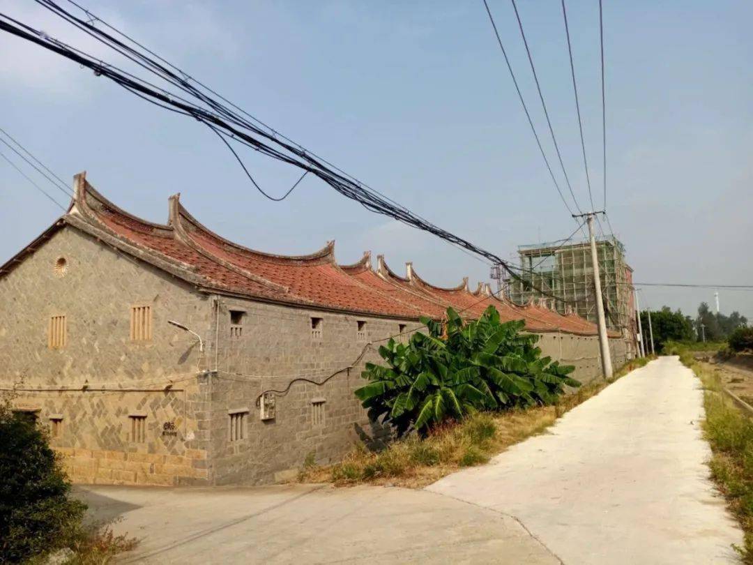 近几年来,莆田荔城区北高镇山前村名声大噪,被誉为"美丽乡村",海滨的