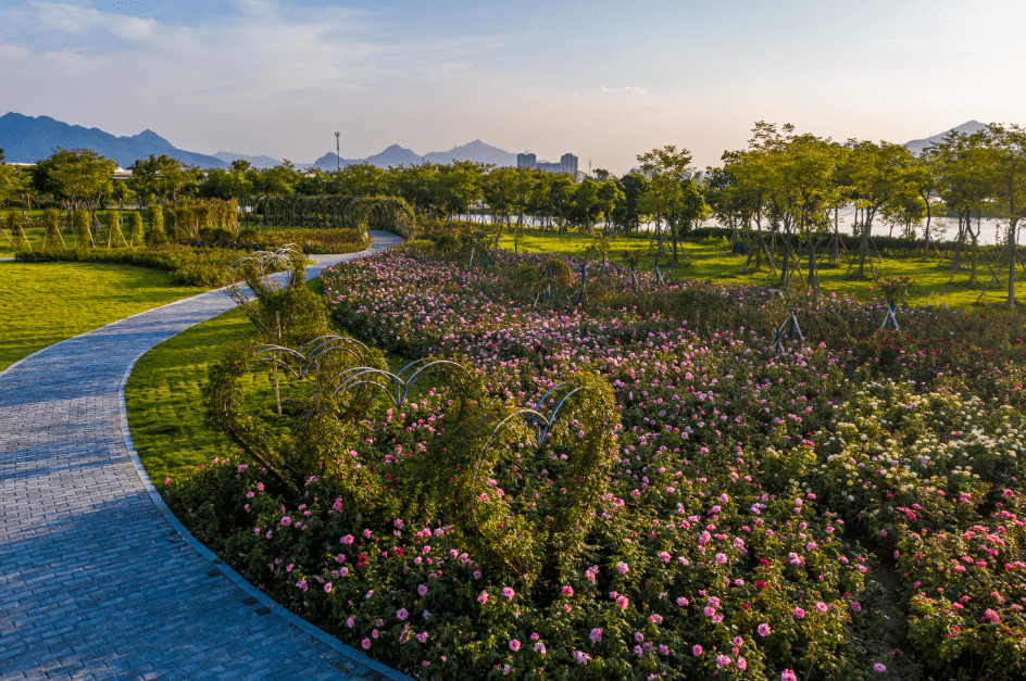 月季岛位置)经过长长的景观桥,即可来到此处顺着砚阳湖各处的指示牌
