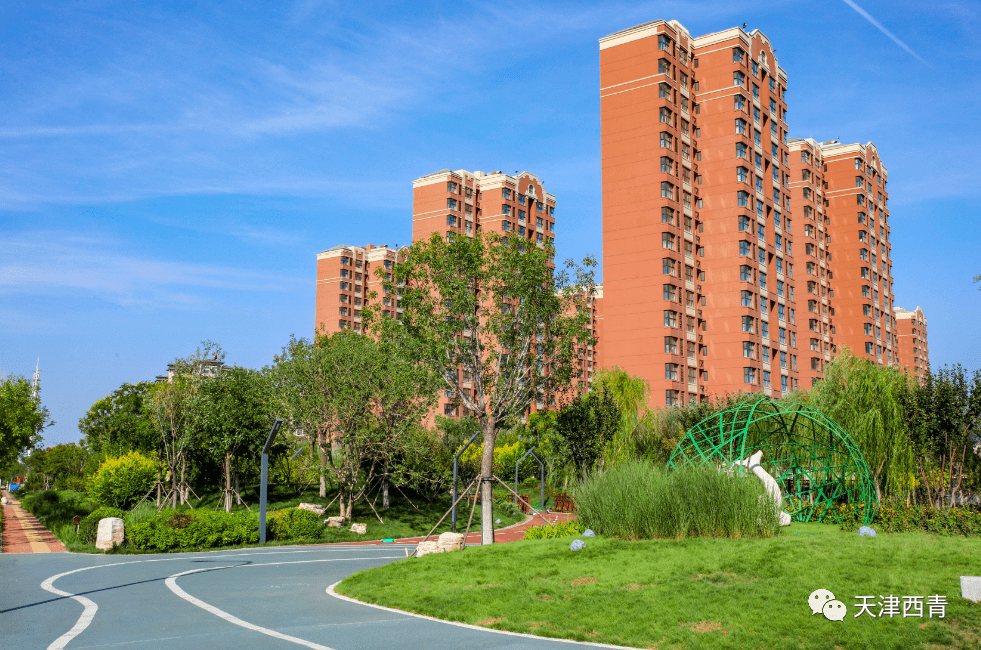 创文进行时张家窝镇全面提升城市美誉度群众幸福感