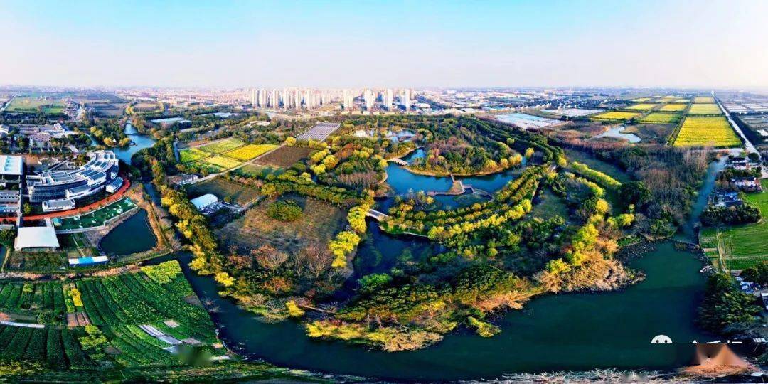 中国乡镇综合竞争力百强出炉千灯镇排名再升5位