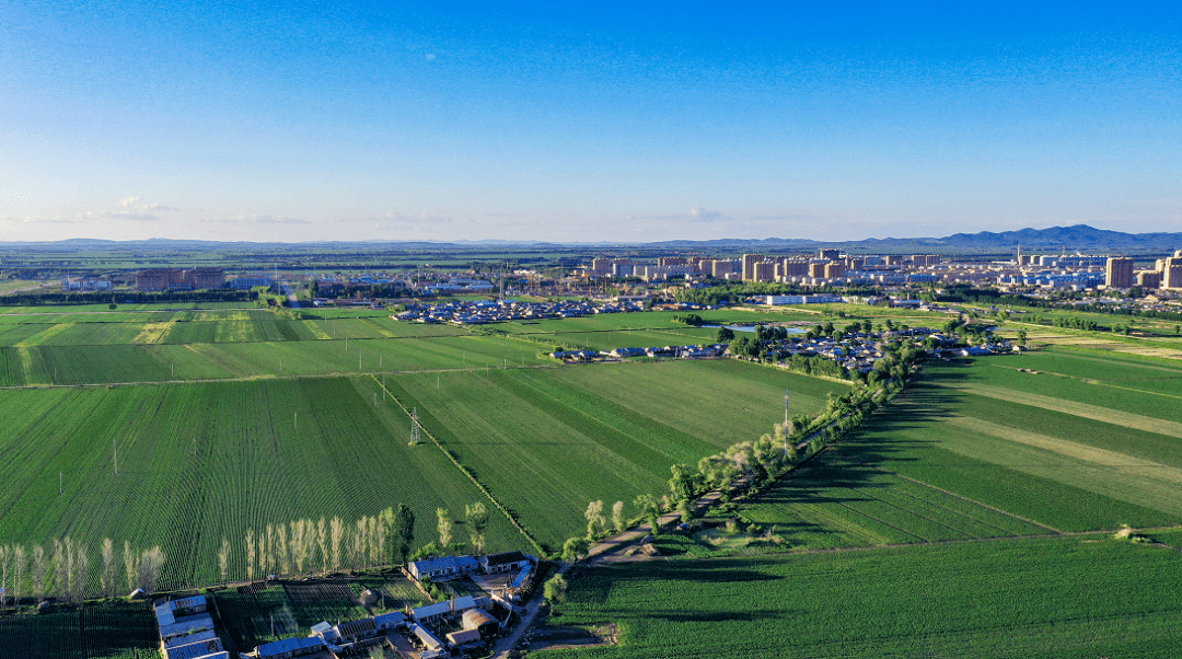 巴彦县招商引资优惠政策和奖励办法来了