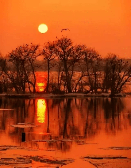 耳聞鳥聲晨起,眼見夕陽餘暉,日出而作,日落而息,一天,一眨眼.