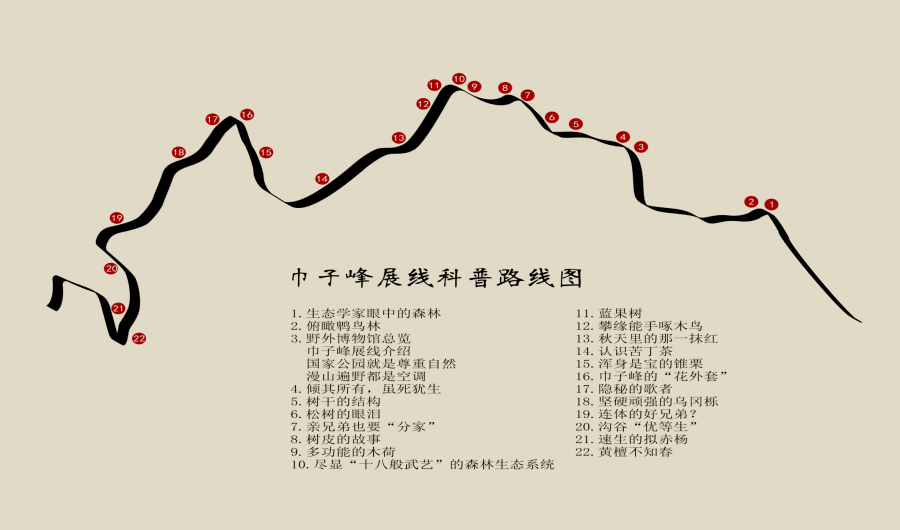 科普牌 从植被类型,动物多样性等方面 带一起你揭开大自然的神秘面纱