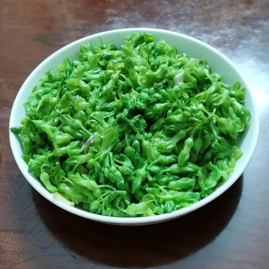 葵潭内送货上门啦!_兰花