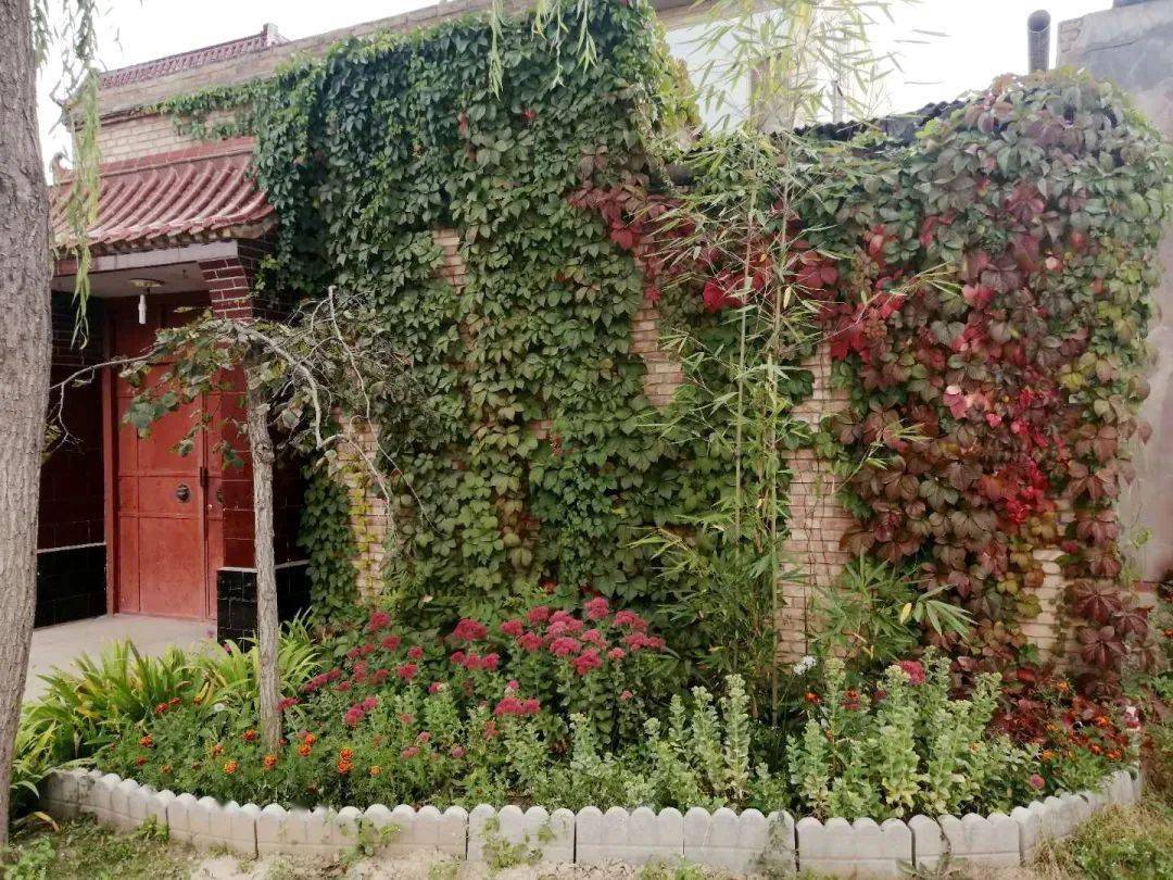 八里铺镇:创建"美丽庭院",打造"美丽乡村"