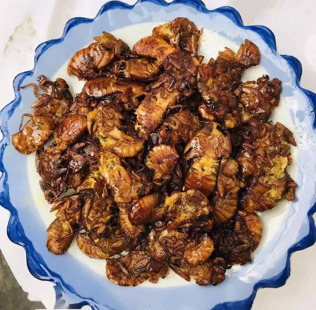 贾堌堆农家寨美食节舌尖上的梁山