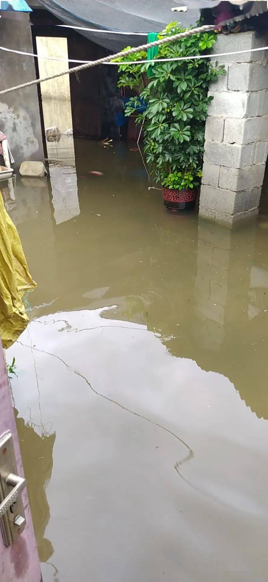 由于地势比较低,加上排水措施不完善,一到下雨就会存很