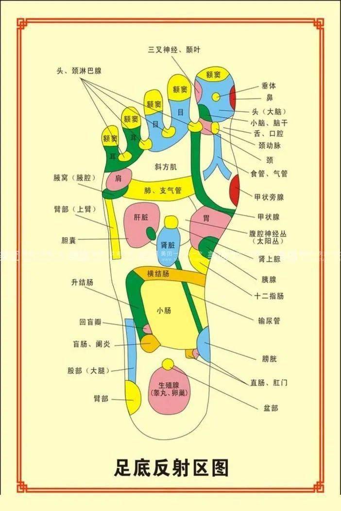 足底按摩教学 睡前图片