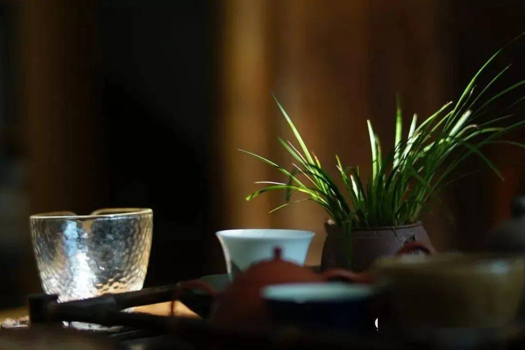 喝茶赏蒲,静心顺气