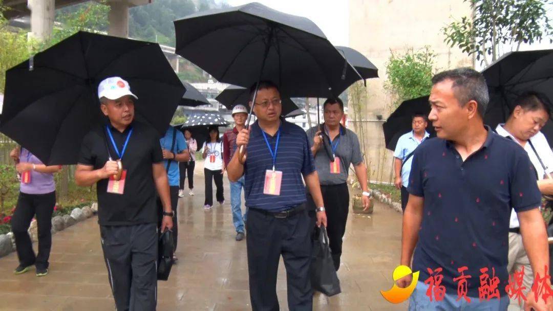 福贡县人大代表视察滨江生态走廊景观工程建设情况