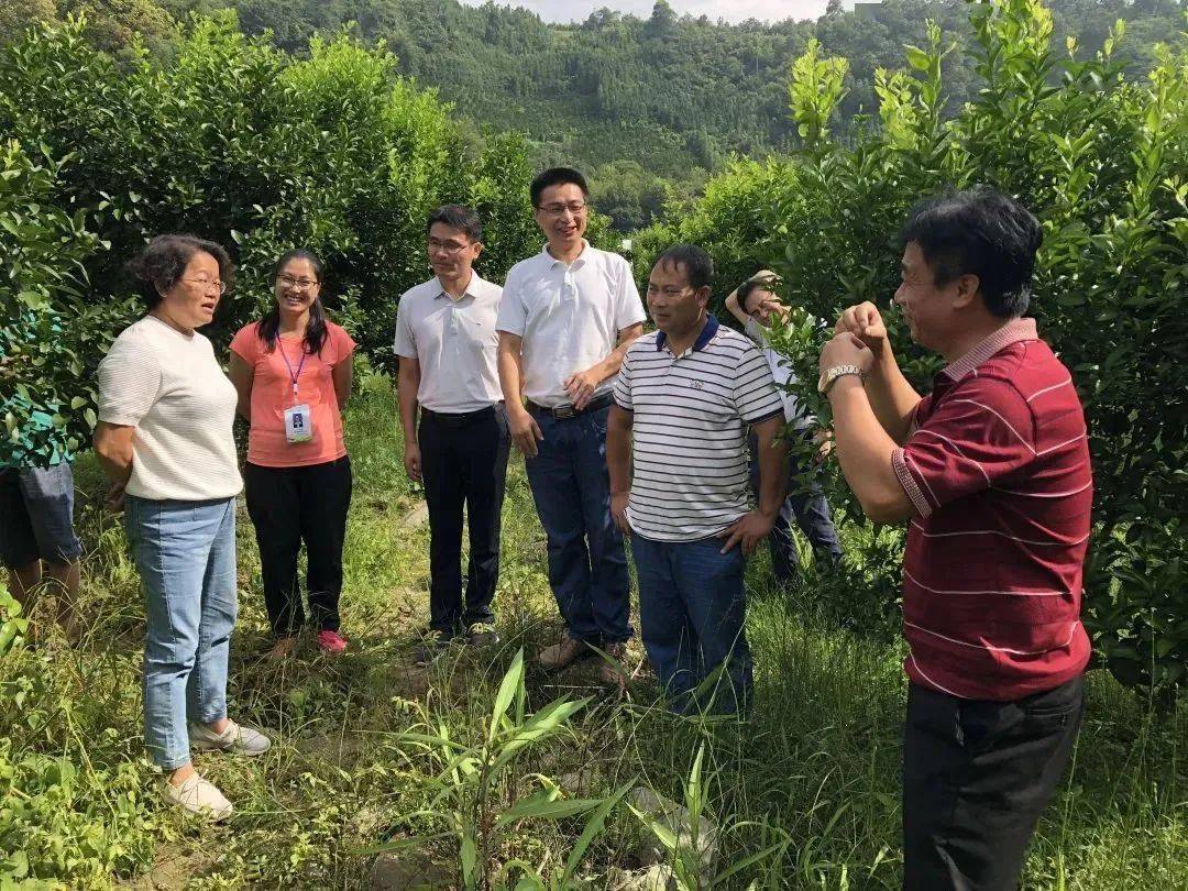 黄文秀:逝于扶贫路,存于群众心_手机搜狐网