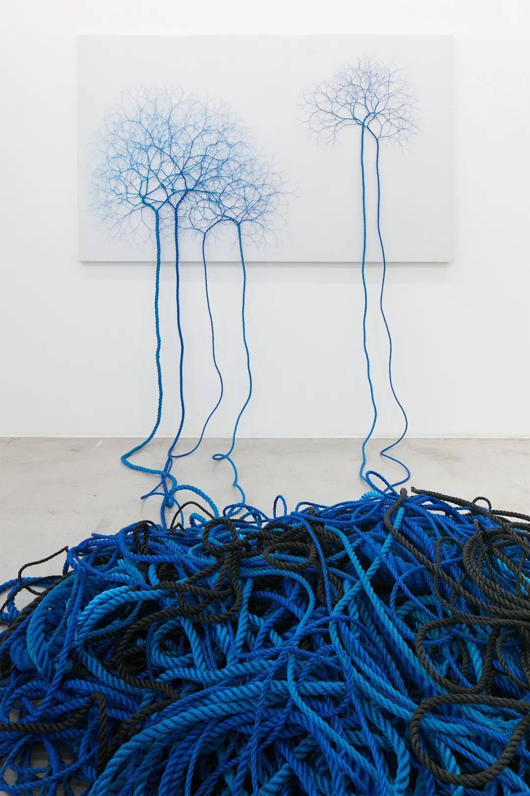 janaina mello landini展开的绳索在画布和开放空间中伸展