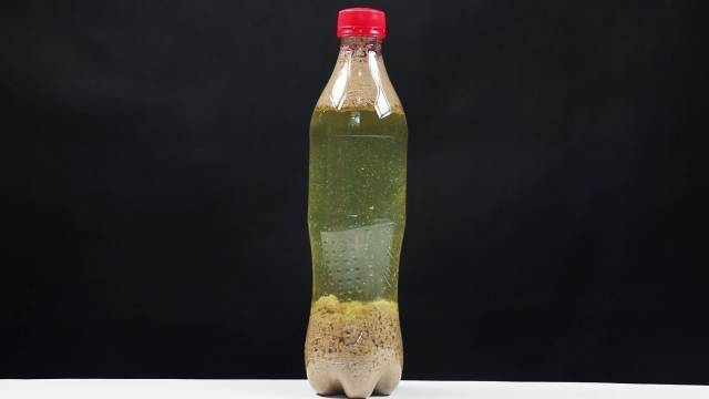 亲子科学小实验牛奶和可乐可以一起喝吗