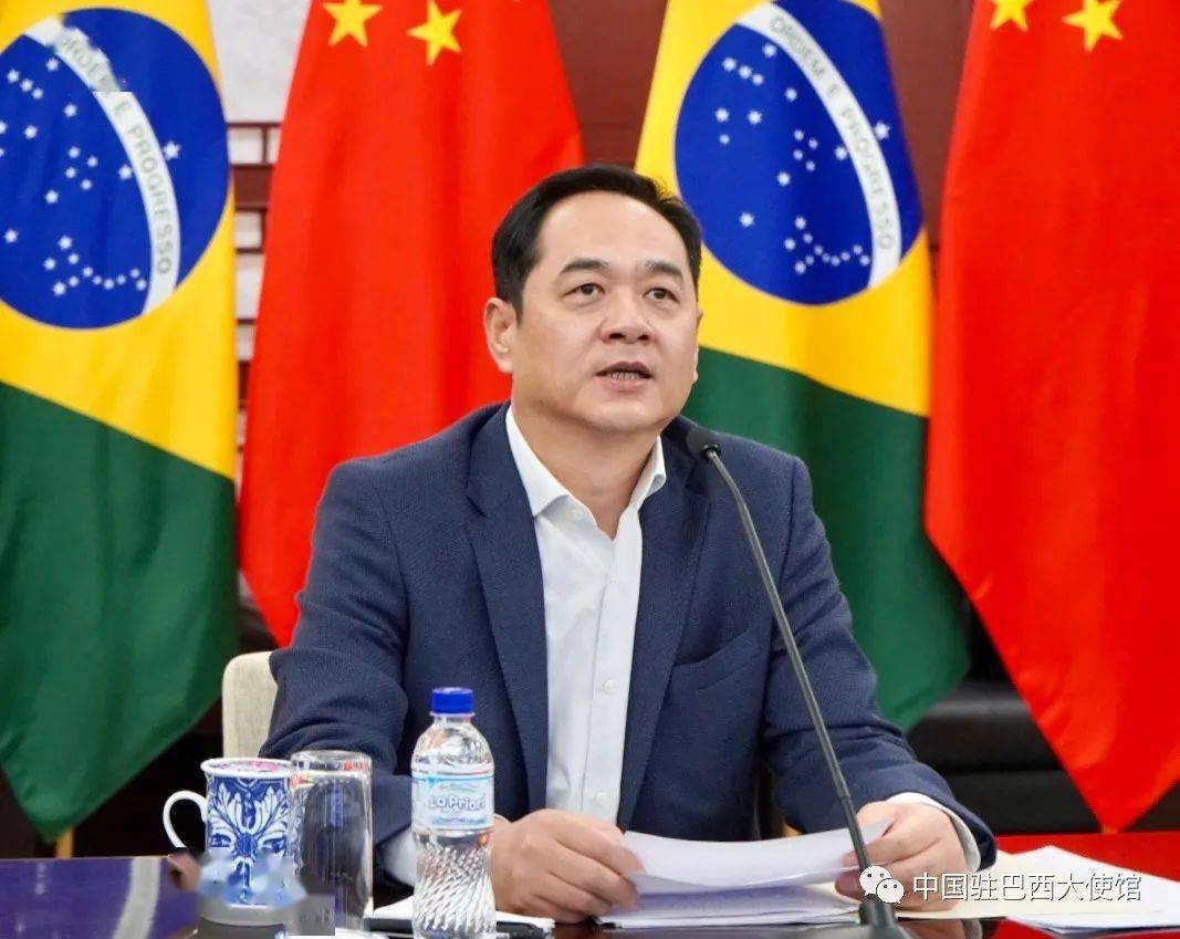 驻巴西大使杨万明同巴肉类出口工业协会在线交流_中国