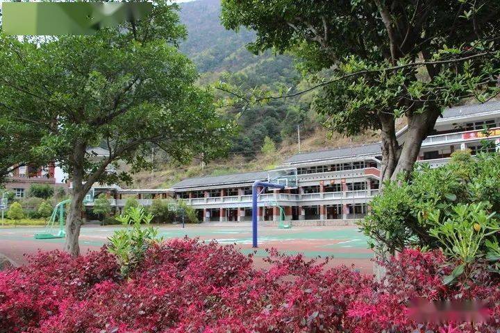 石棉县民族中学打造绿色节水美丽校园